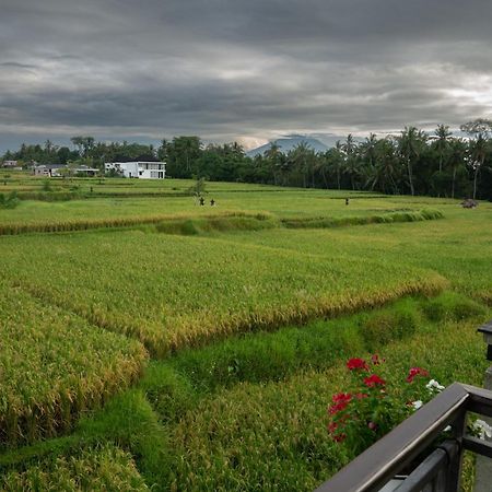 Ananditha Villa Ubud Ricefield Views Экстерьер фото